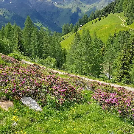 Alfonsstueberl - & Restaurant 3* Innervillgraten